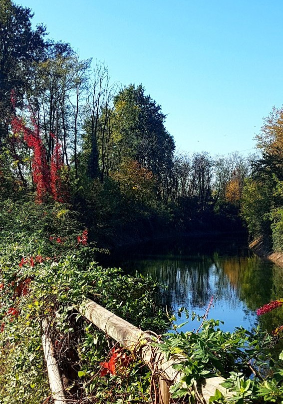 塞纳戈旅游攻略图片