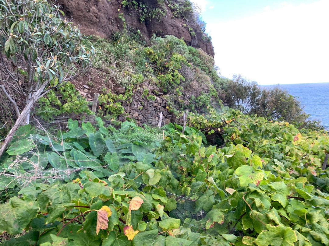 Teleferico da Rocha do Navio-Santana必去景点