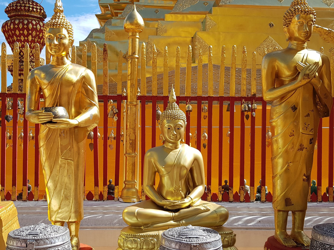 Private Guide in Chiang Mai-清迈必去景点