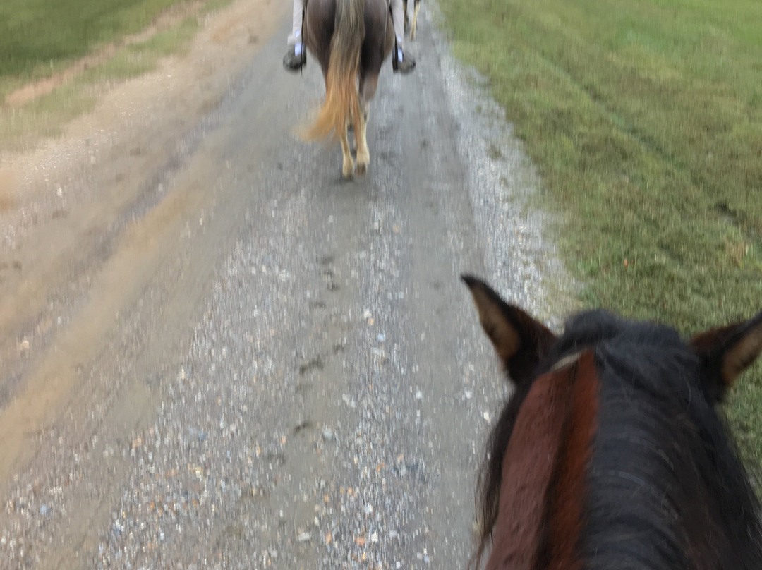 Bar Fifty Guest Ranch主图