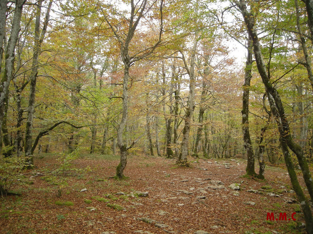Monumento Natural del Monte Santiago景点图片