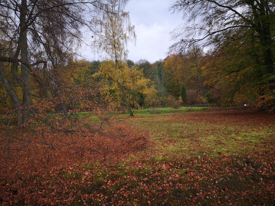 Fredriksdal Open-Air Museum and Botanical Garden景点图片