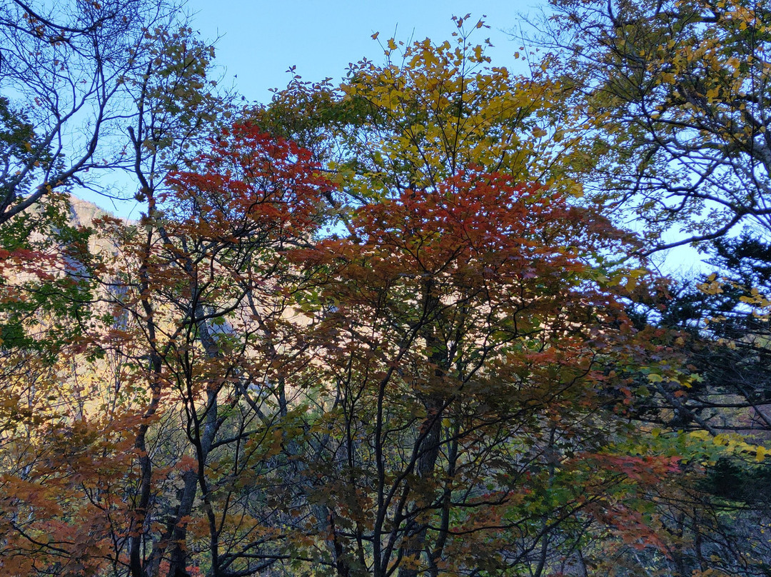 Sounkyo Momojidani-上川町必去景点