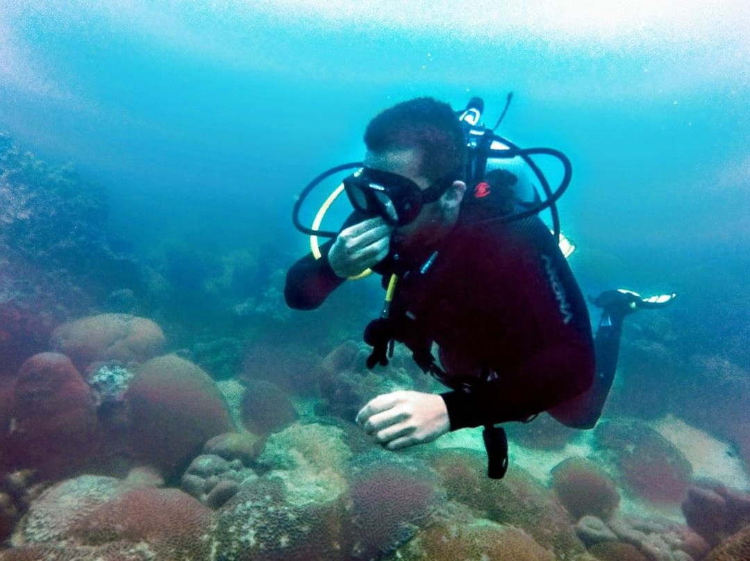 Operadora de Servicios Turísticos de Aventura y Buceo Tuxpan, Ver.-Tuxpan必去景点