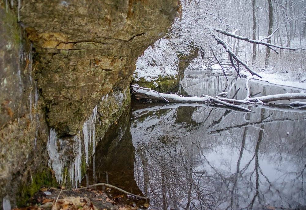 Severson Dells Nature Center-罗克福德必去景点