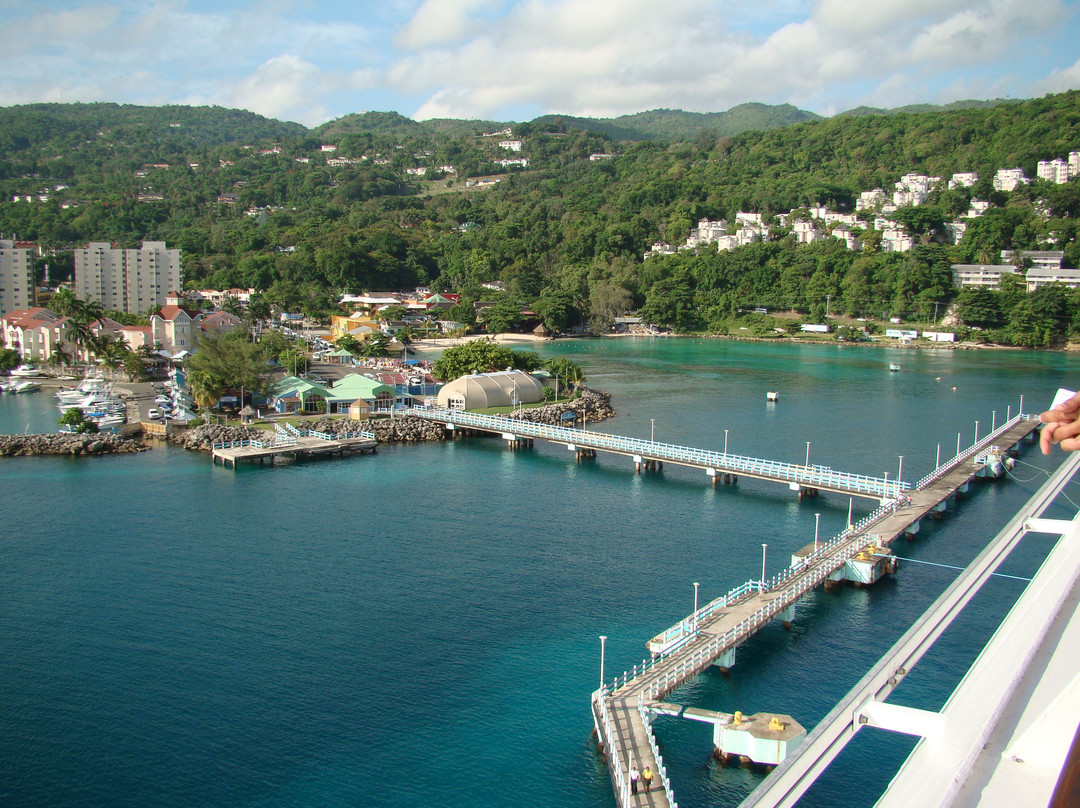 PPP Tran Tours Jamaica