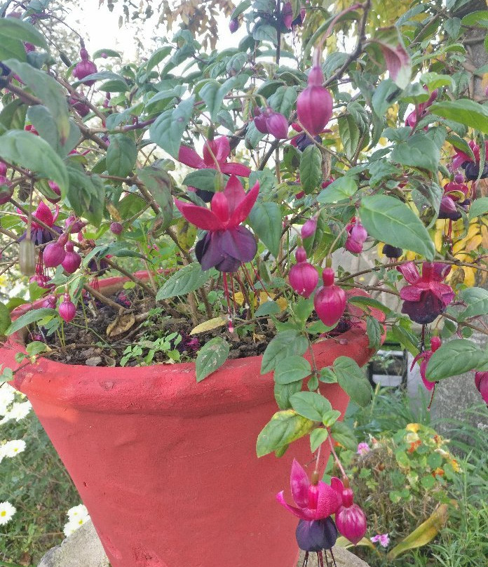 Somerset Lodge主图