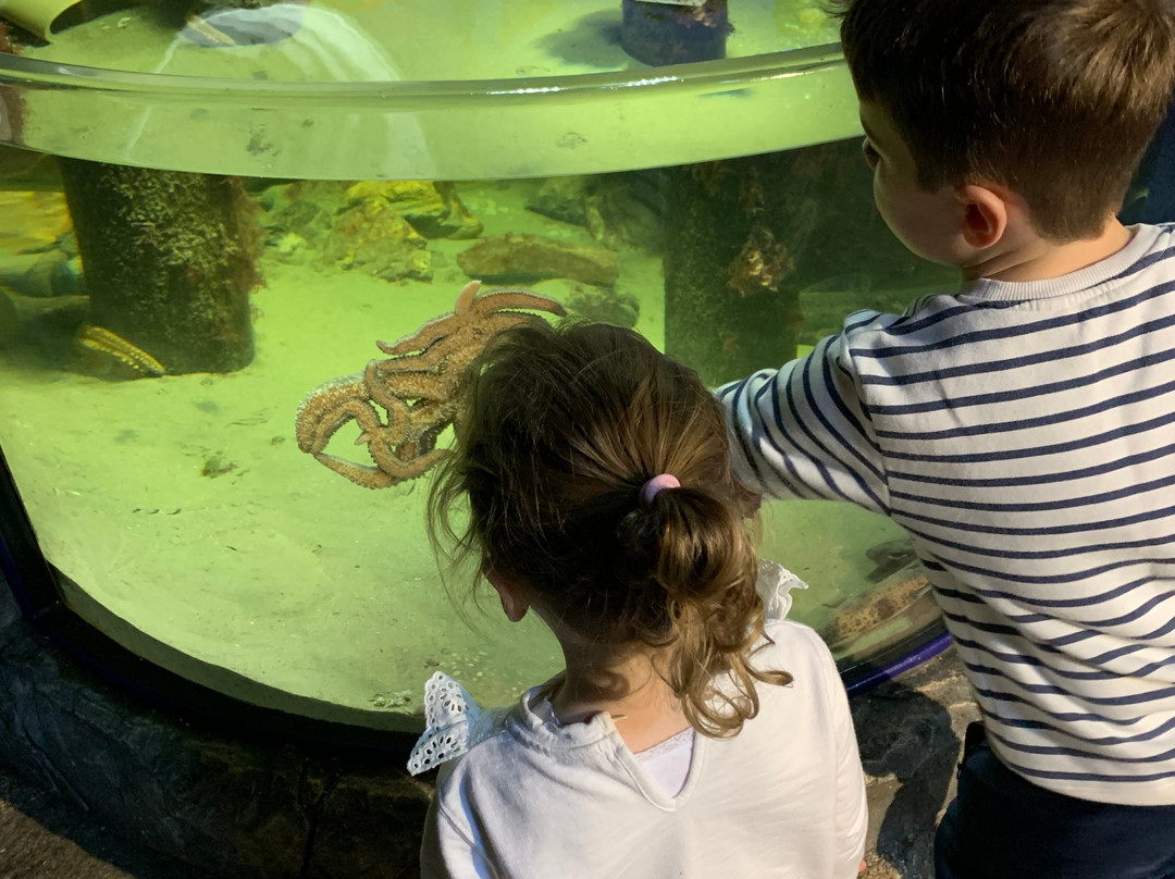 Achill Experience, Aquarium & Visitor Centre景点图片