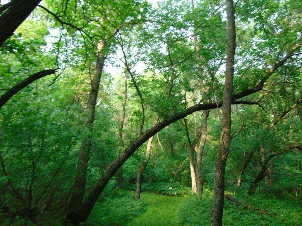 Pembina Valley Provincial Park景点图片