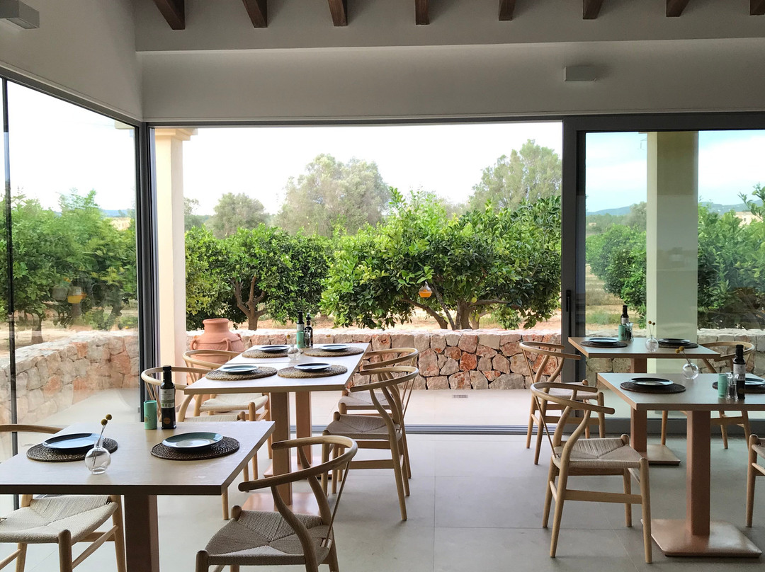Agroturismo Ibiza Can Jaume主图