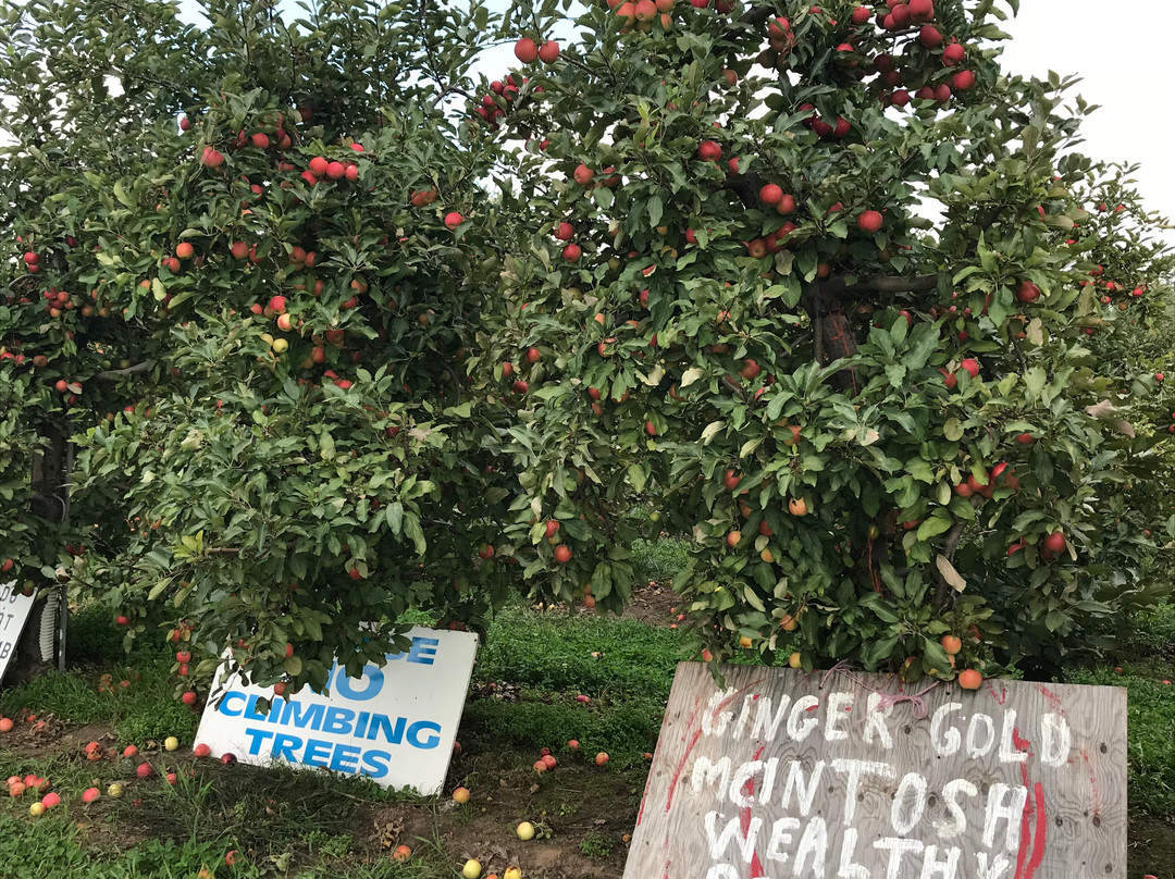 The Big'r Apple Farm