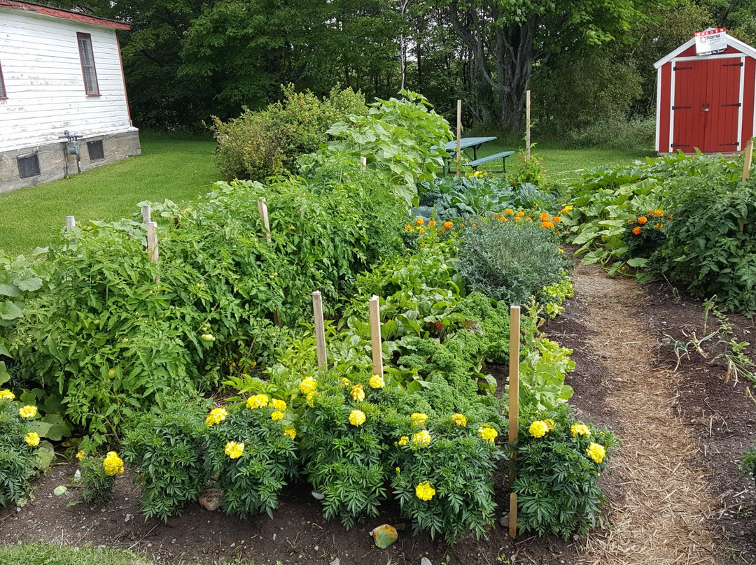 Anderson Farm Museum景点图片