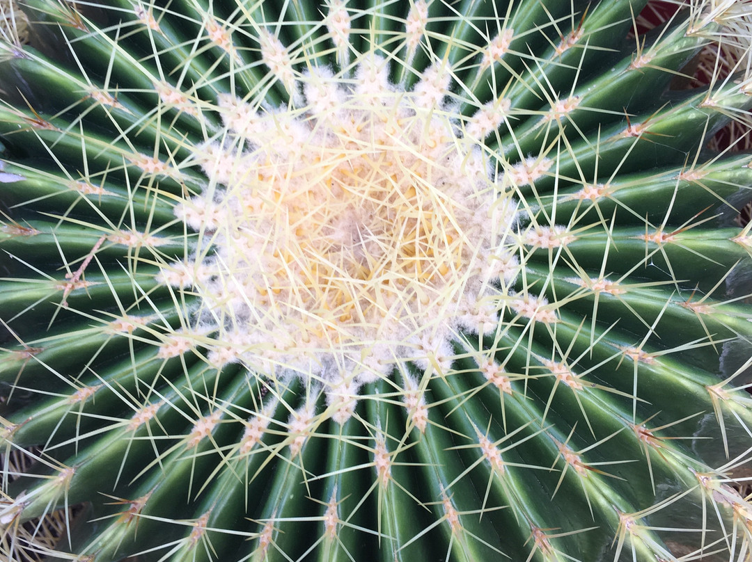 枫树农场住宿加早餐旅馆主图