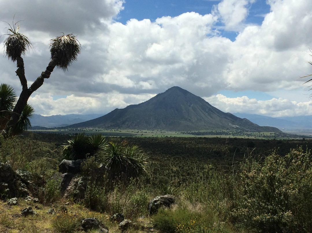 Zona Arqueológica de Cantona景点图片