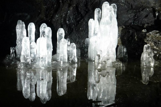 冨士エコツアー・サービス-富士河口湖町必去景点