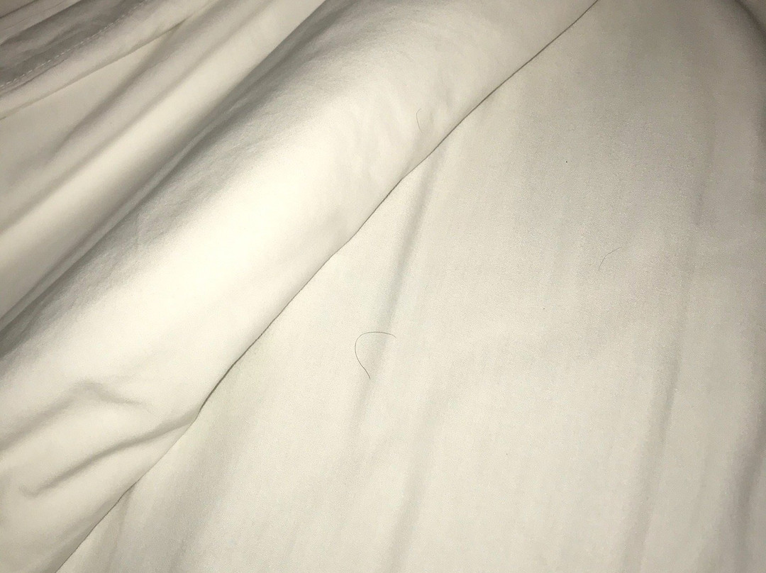 Motel Montcalm主图