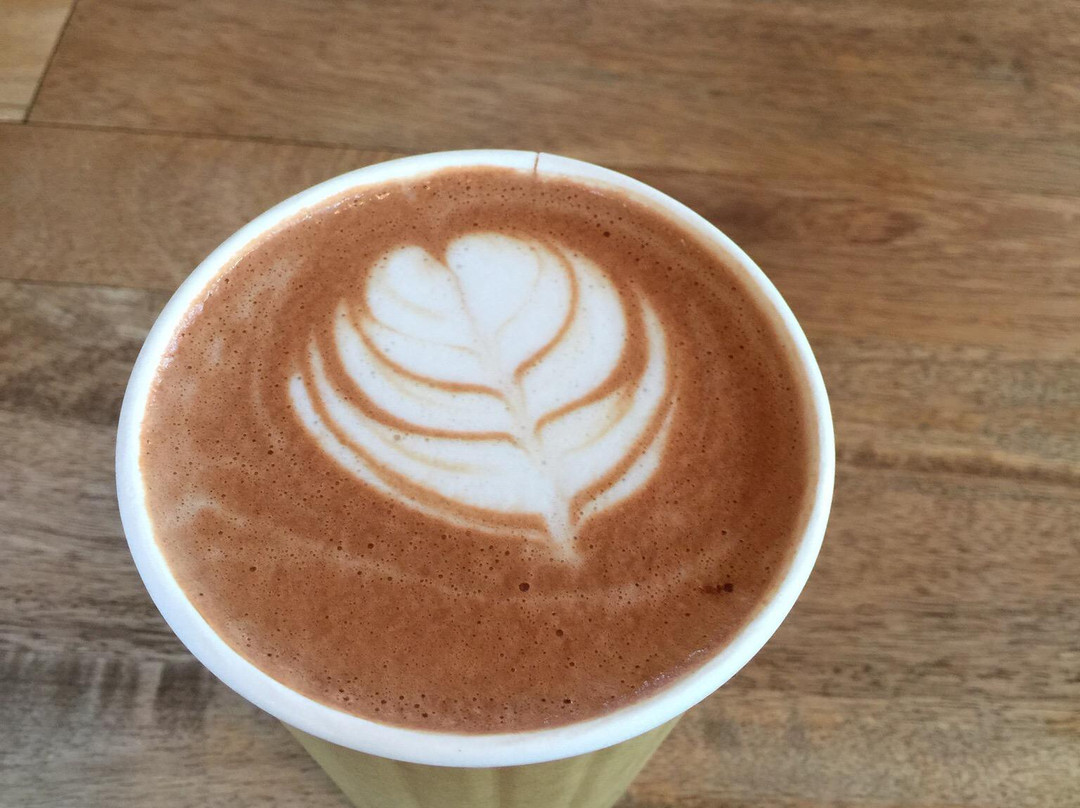 Videri Chocolate Factory-罗利必去景点