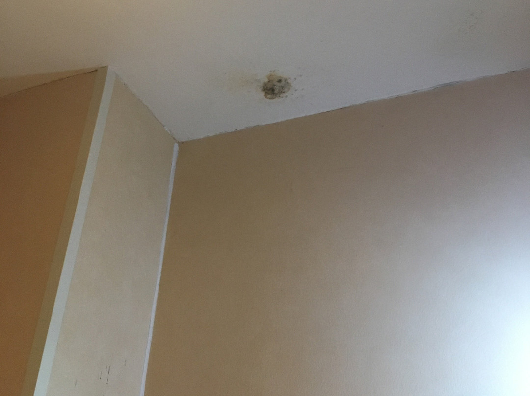 Newcastle Jesmond Hotel主图