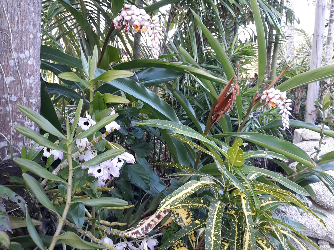 Mission Reef Resort主图