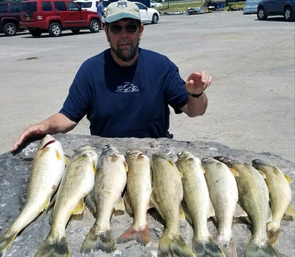 Sparky's Fishing Adventures