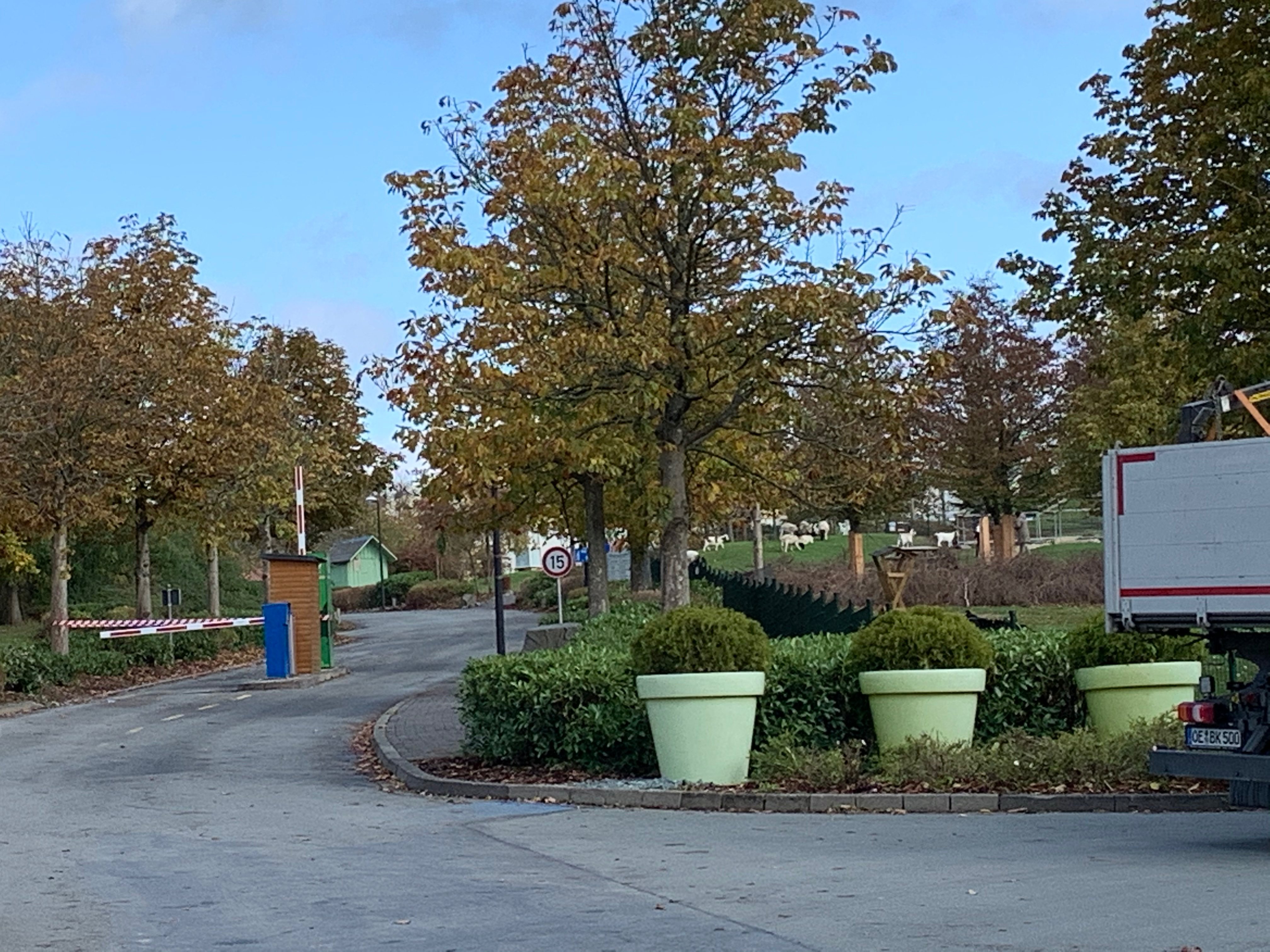 Center Parcs Park Hochsauerland-浴室