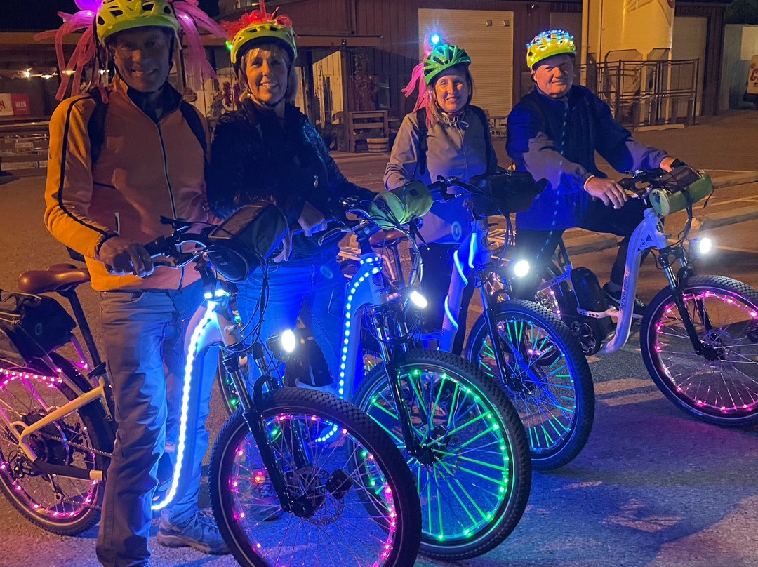 Free-to-Roam eBiking