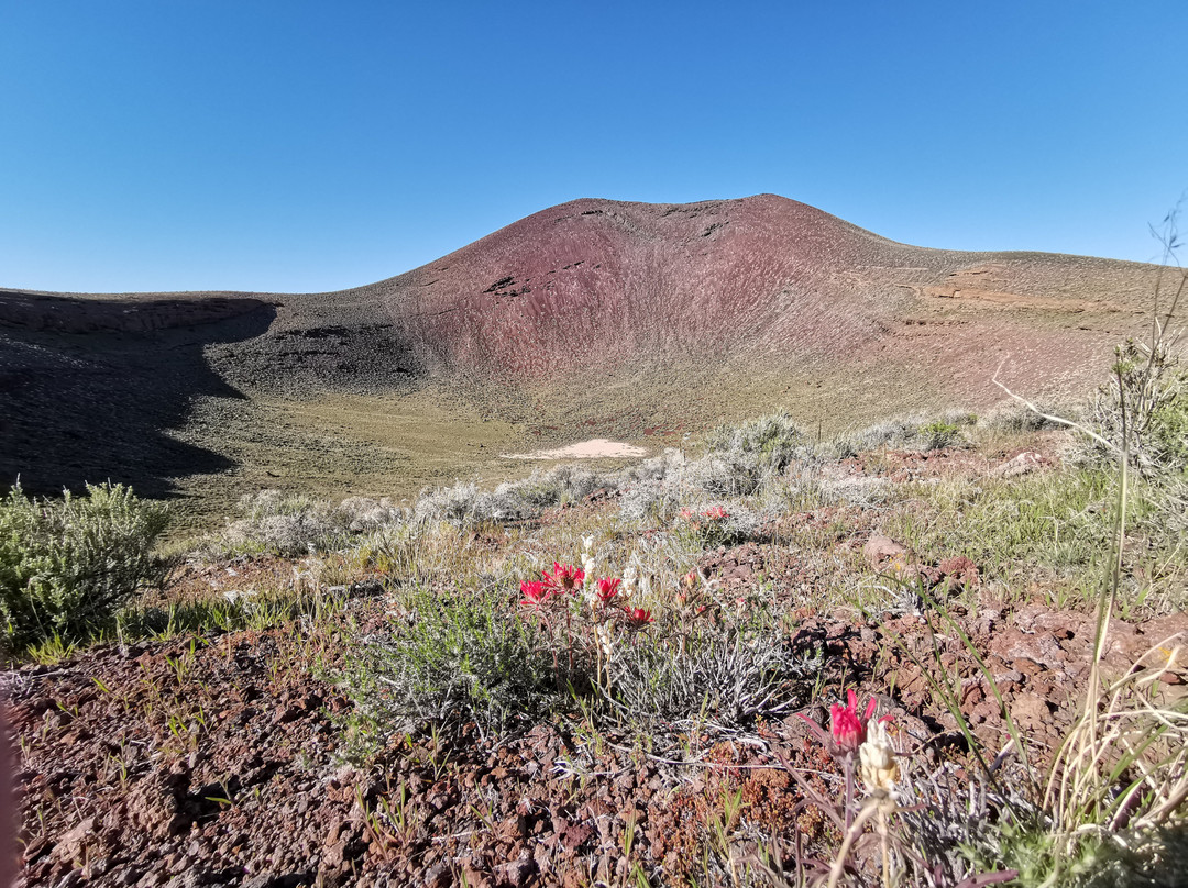 托诺帕旅游景点-Lunar Crater Volcanic Field