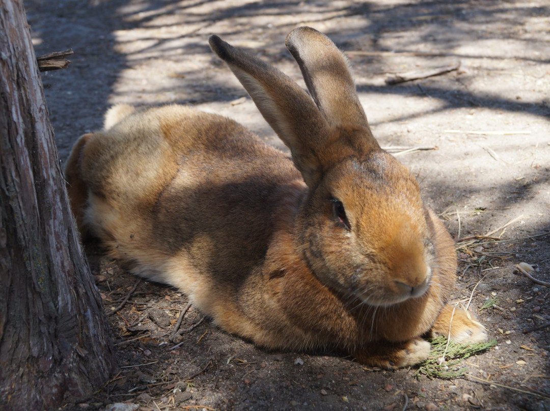 Dusty Trails-北普拉特必去景点