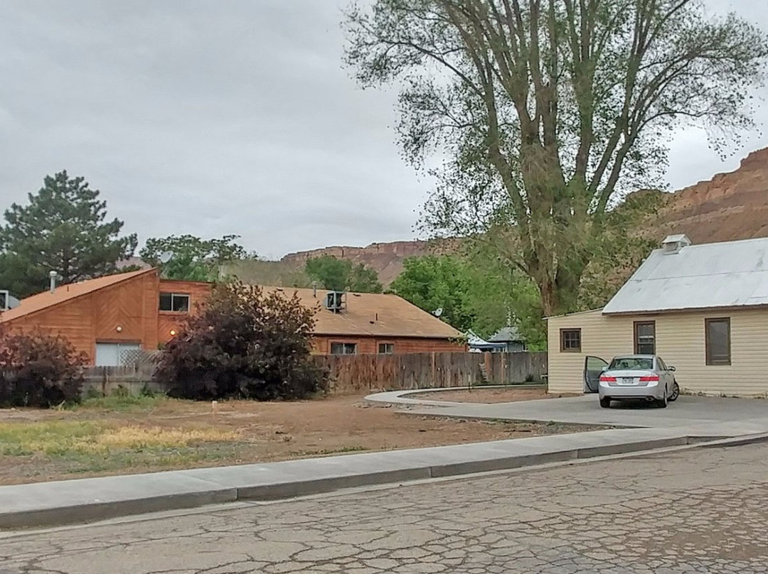 Mesa (Mesa County)旅游景点-Lupita's Bizarre Bazaar Too