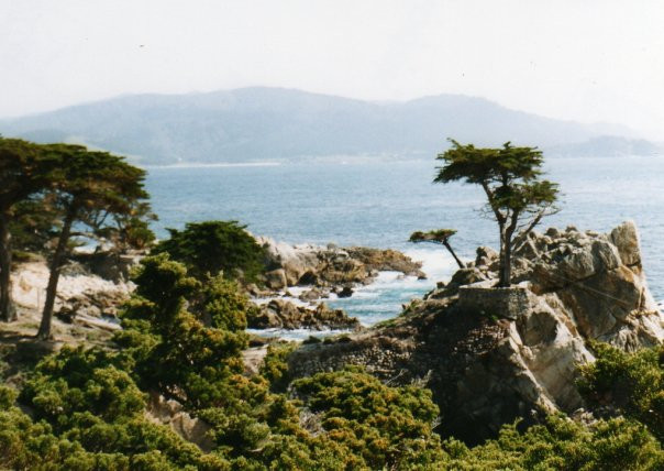 Cypress Point Golf Club-圆石滩必去景点