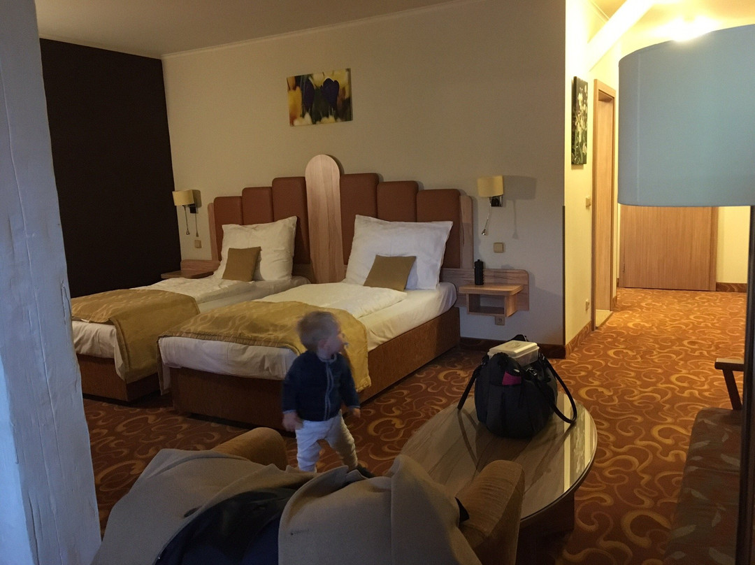 Hotel Zlata Vcela主图