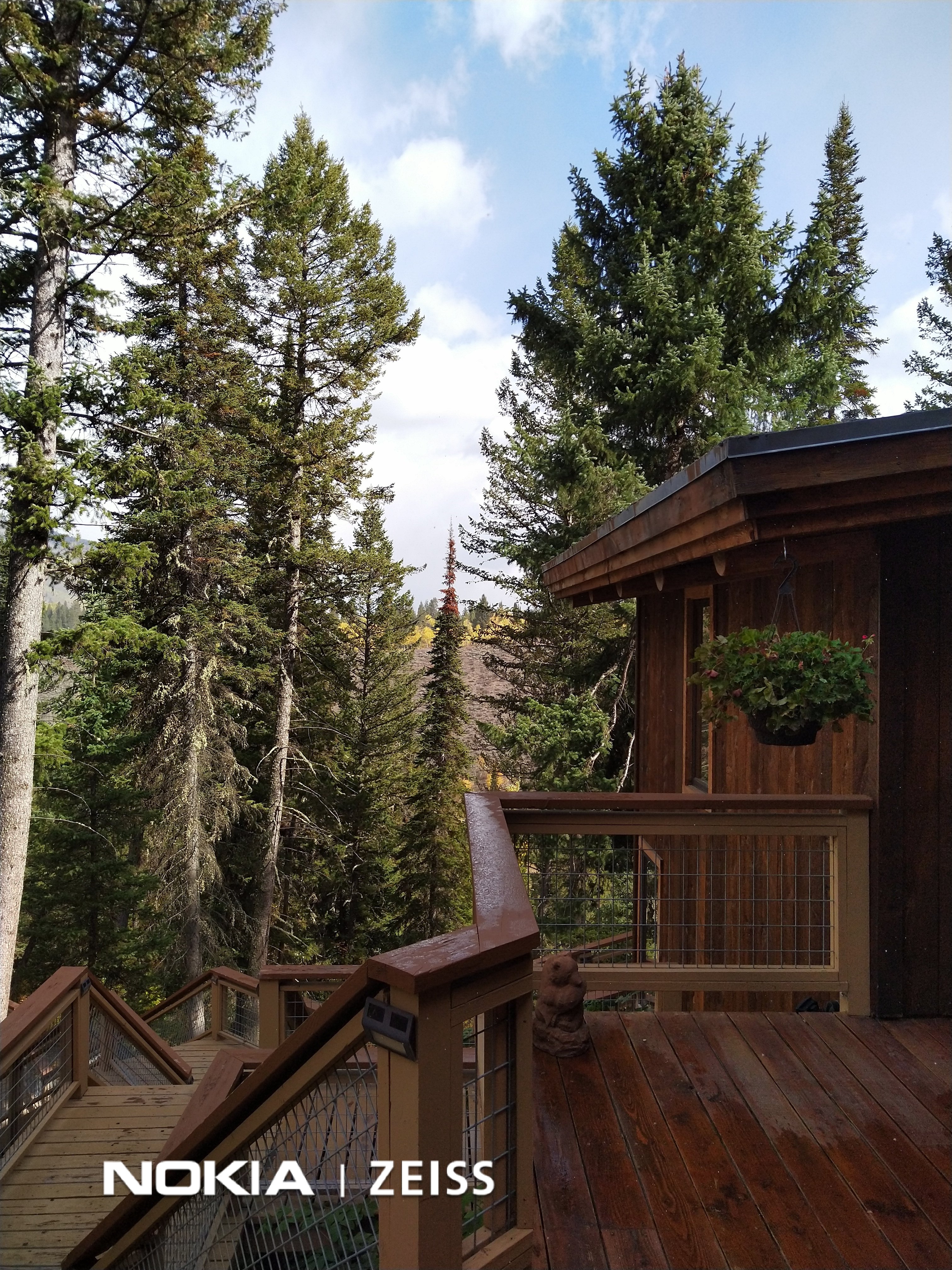 Jackson Hole Hideout-portrait
