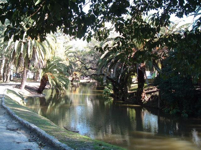 Paseo del Bosque景点图片