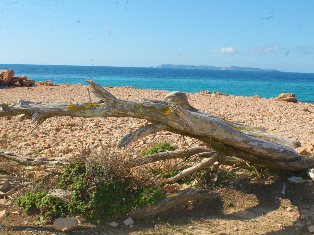 Playa Es Caragol景点图片