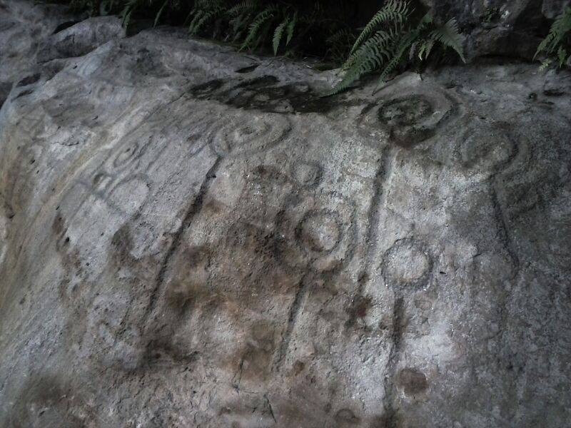 Petroglifos Pajarito景点图片