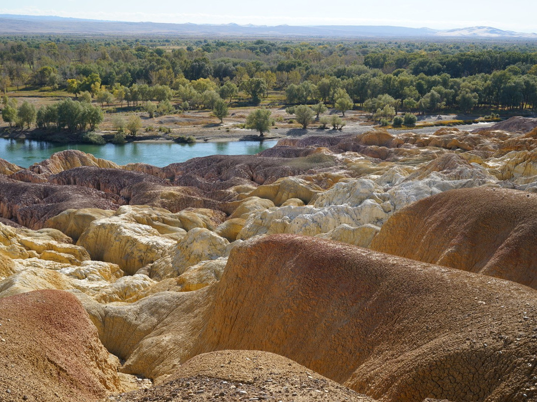 YAT Travel-成都必去景点