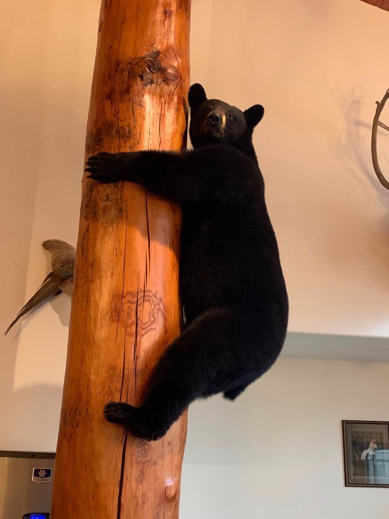 Greenwood Village Inn & Suites-餐饮