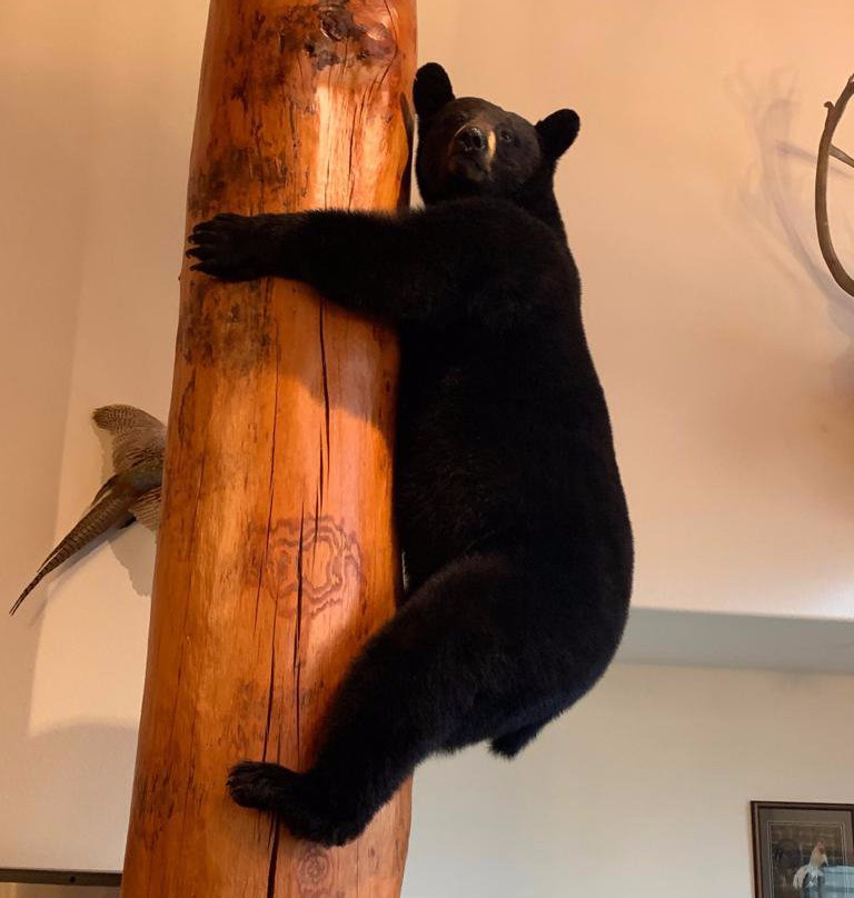 Greenwood Village Inn & Suites主图