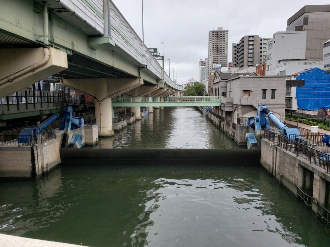 Higashiyokobori River景点图片