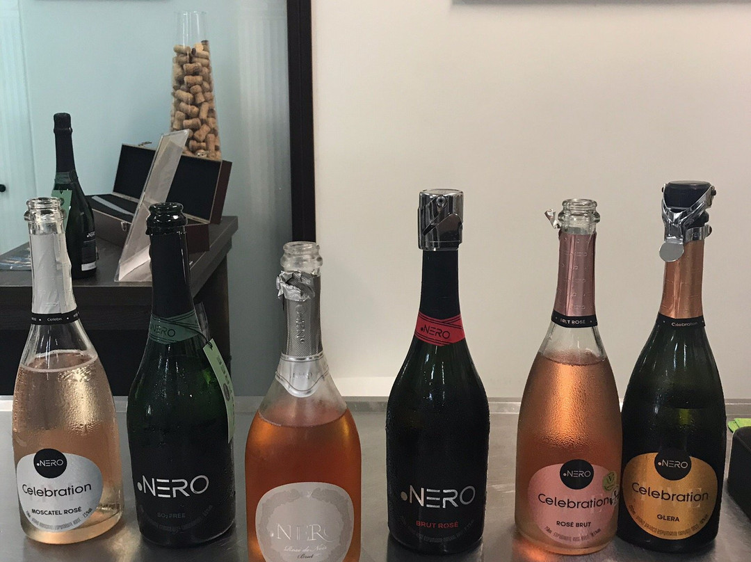 Domno Importadora Winery景点图片