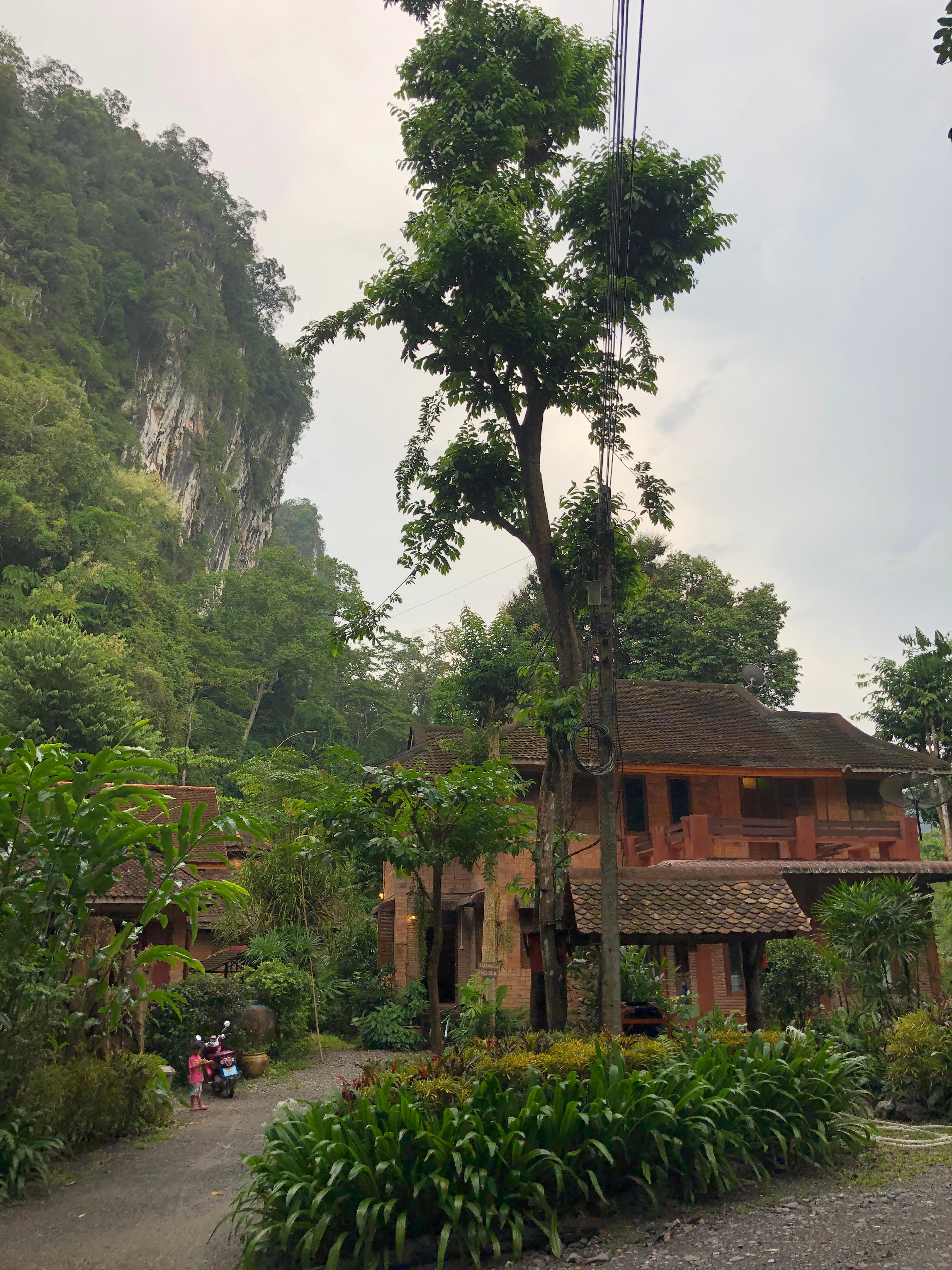 Art's Riverview Jungle Lodge-官方