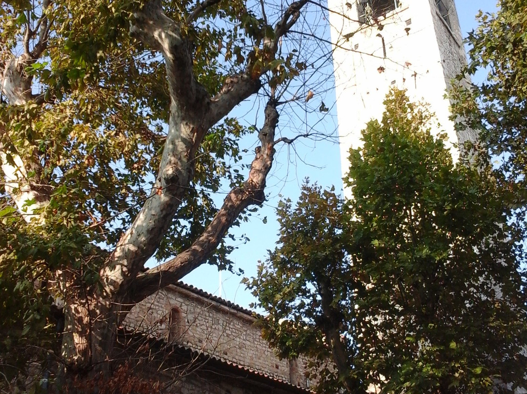 Chiesa di San Severo景点图片