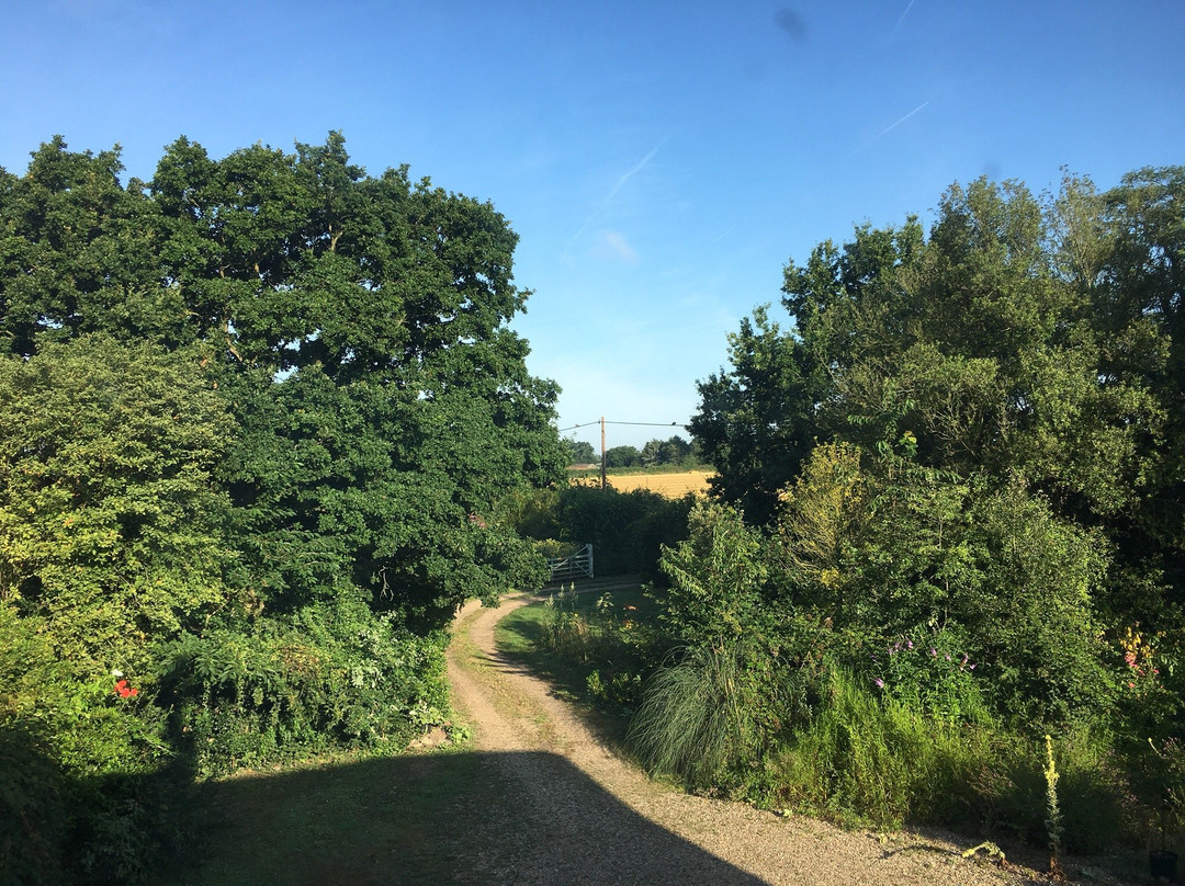 The Old Vicarage Bed and Breakfast主图