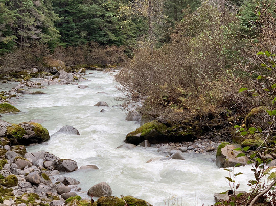 Packer Expeditions - Day Tours-史凯威必去景点