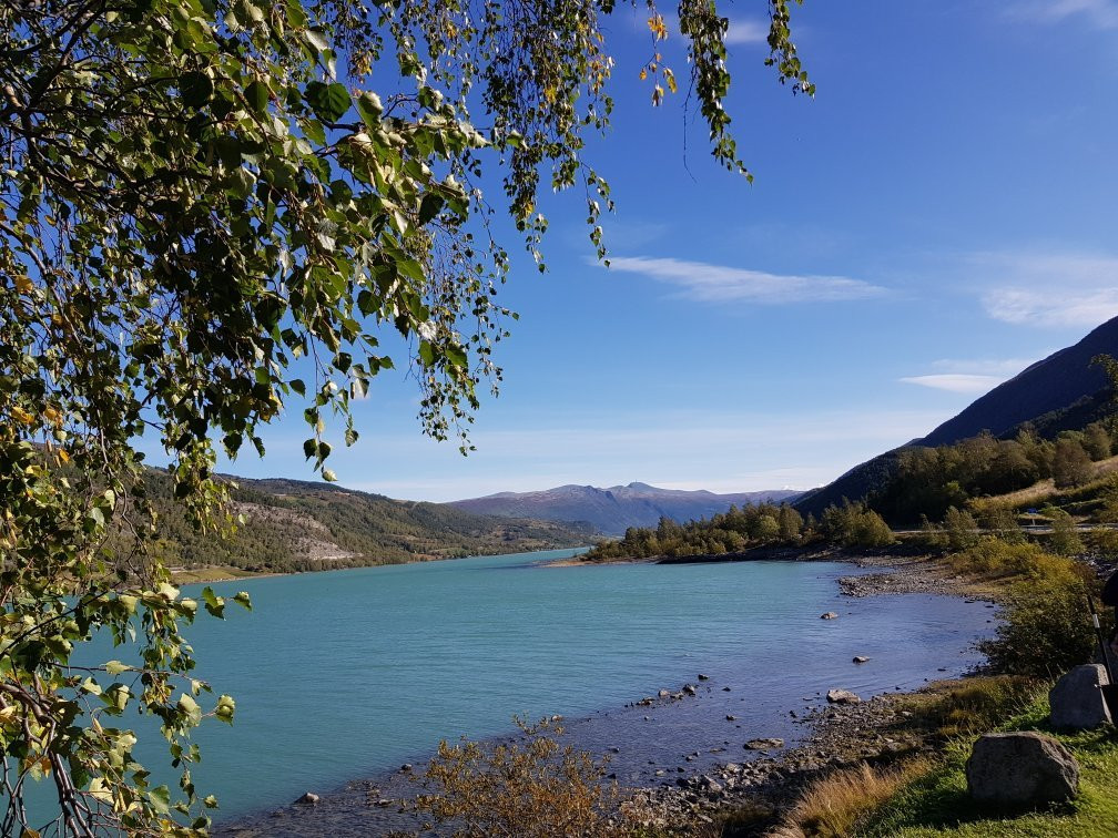 Tours Norway-卑尔根必去景点