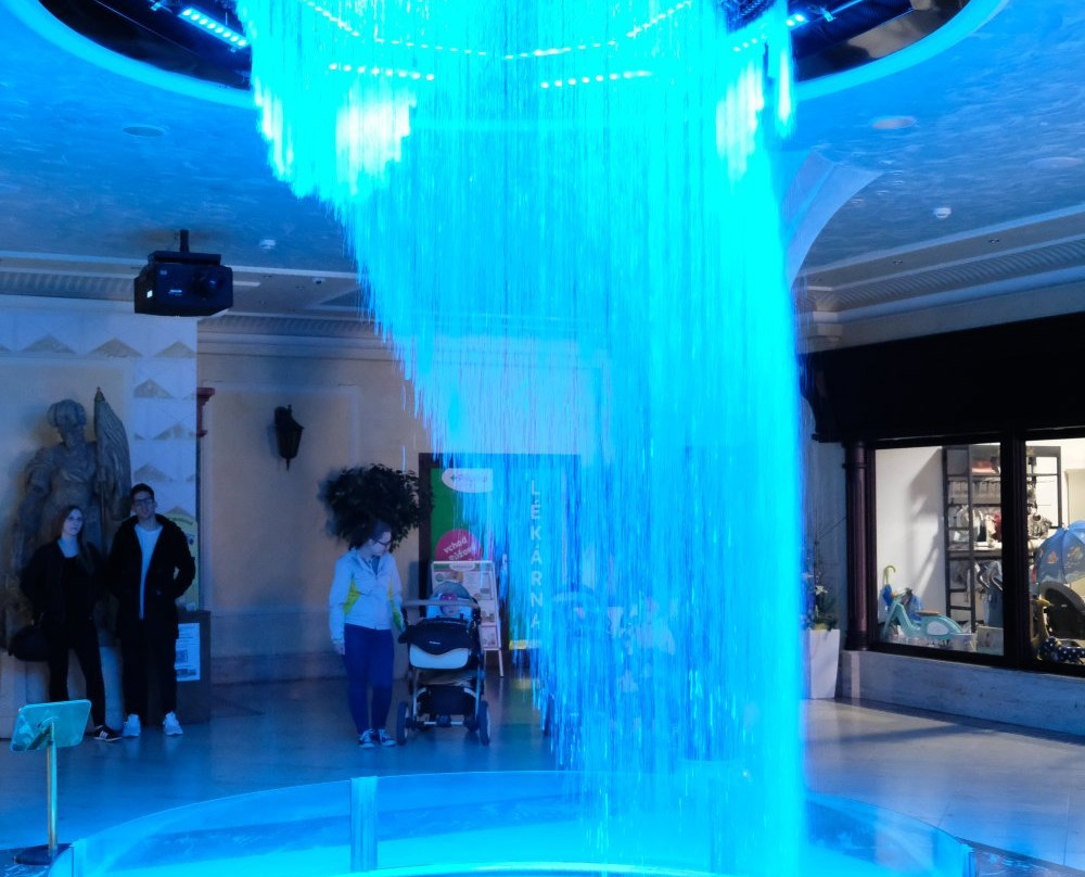 Aqua Show景点图片