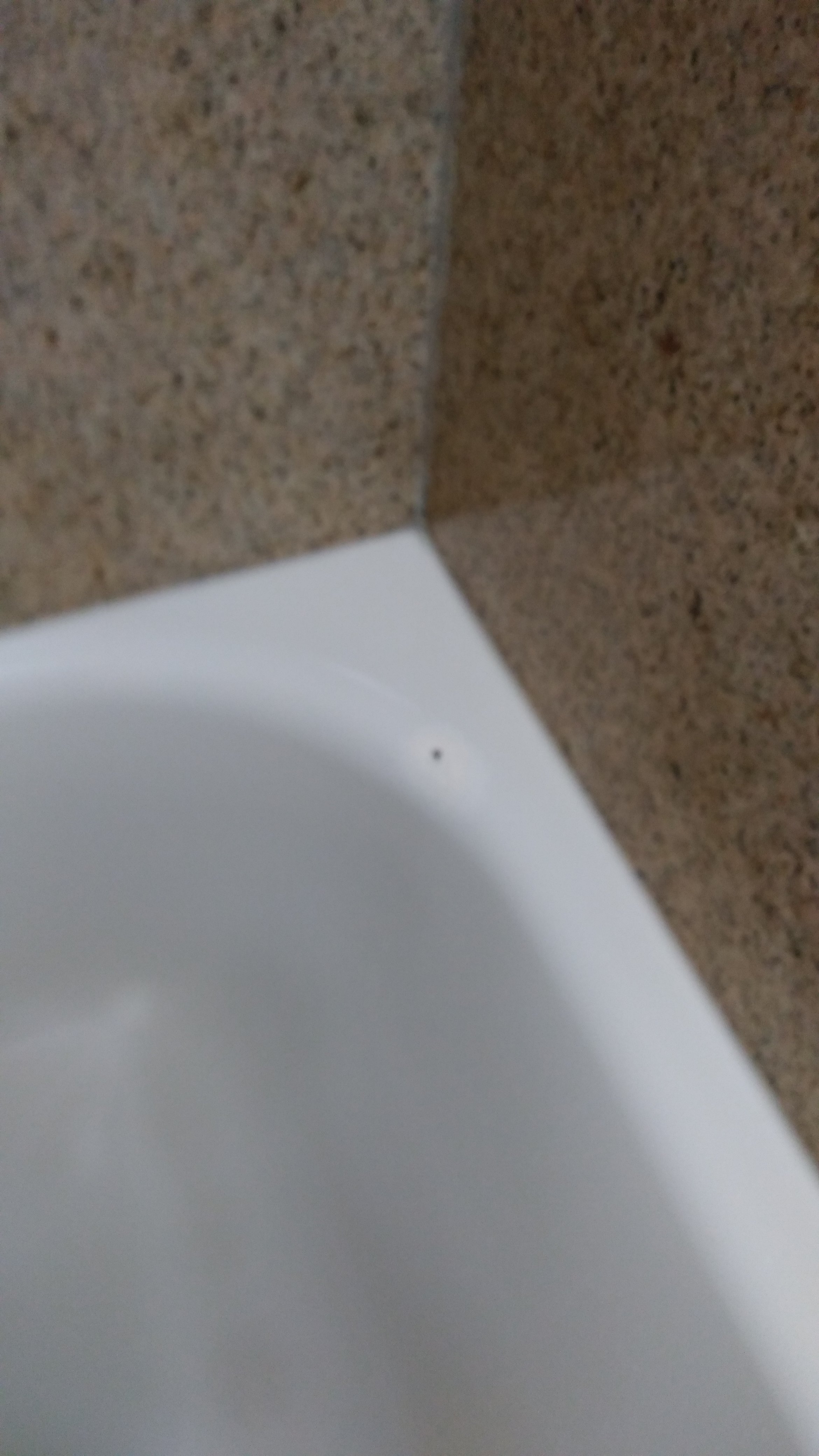 Quality Inn & Suites Lexington-浴室