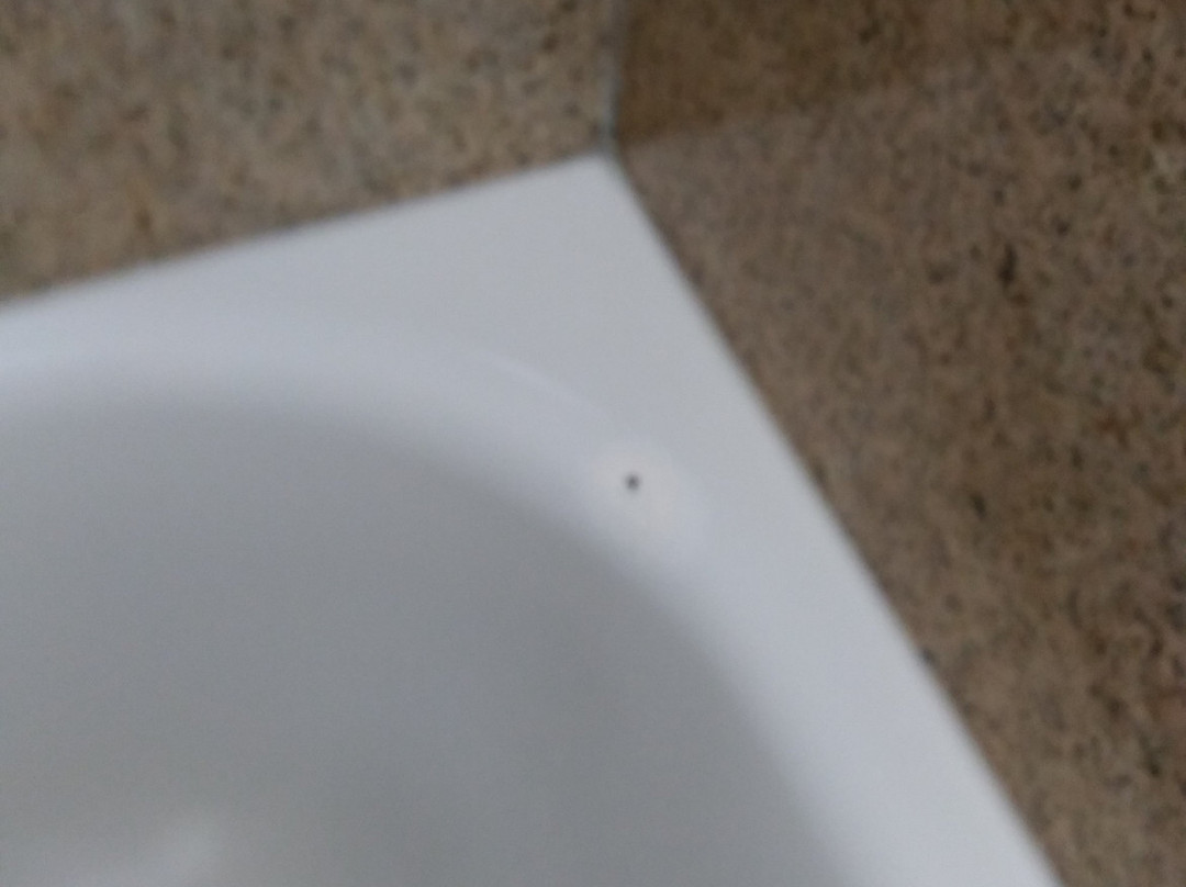 Quality Inn & Suites Lexington主图