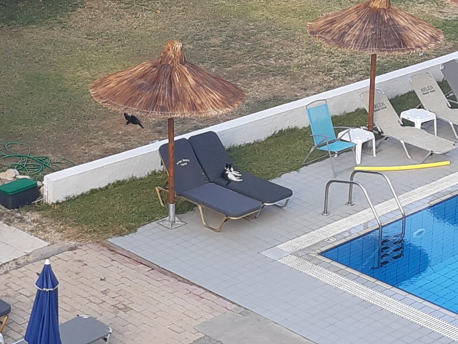 Arlen Beach Hotel主图