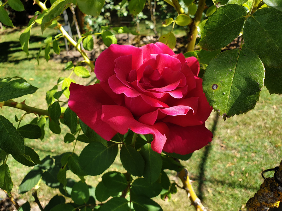 Jardín Botánico de La Rioja-Azofra必去景点